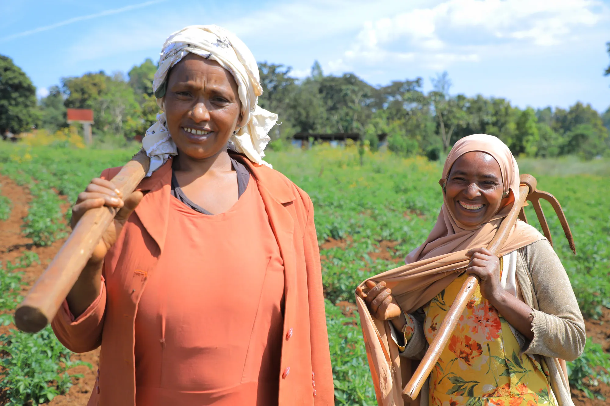 Farmers in training