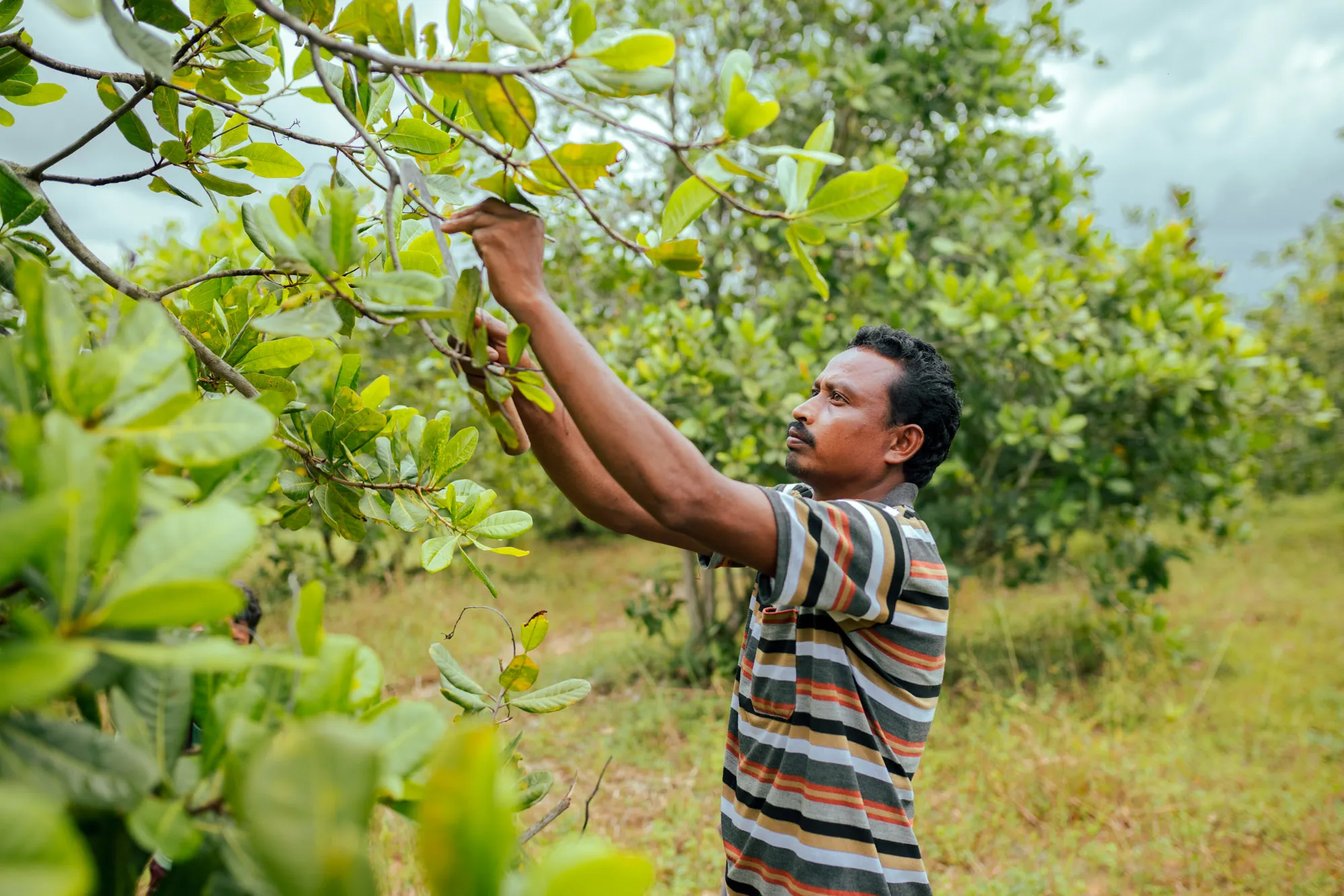 Farmers in the field