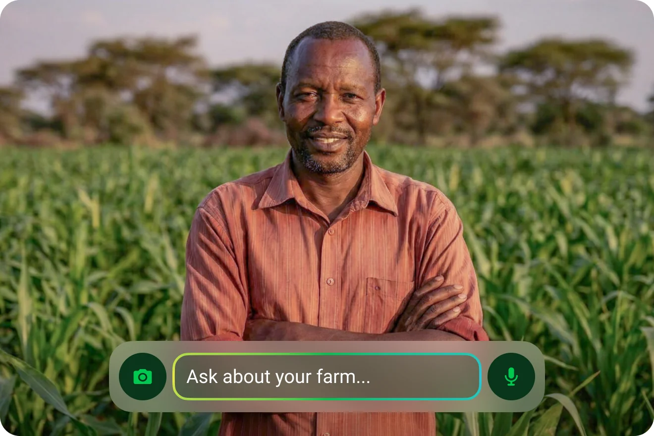 A farmer in a maize field with the FarmerChat question bar overlaid.