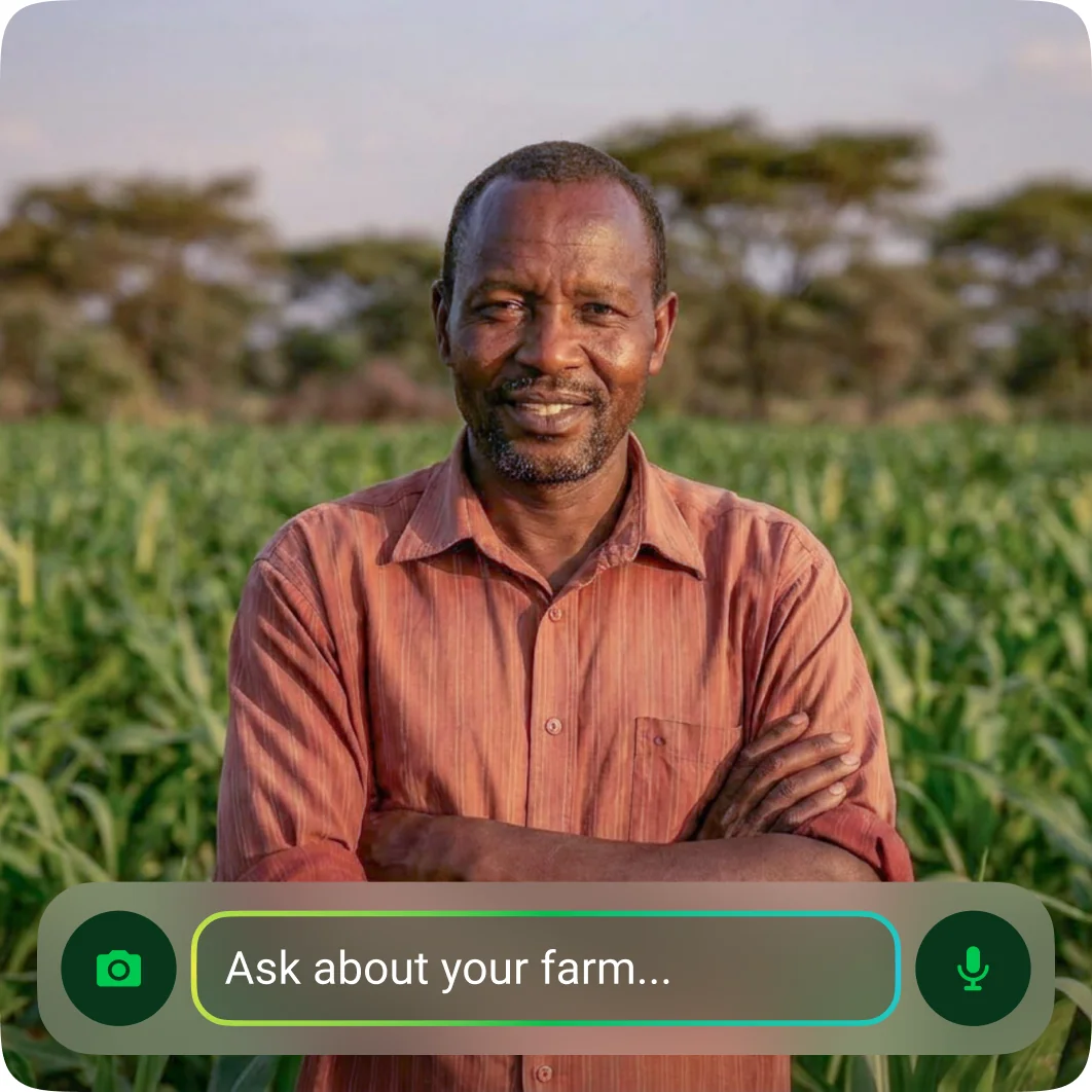 A farmer in a maize field with the FarmerChat question bar overlaid.