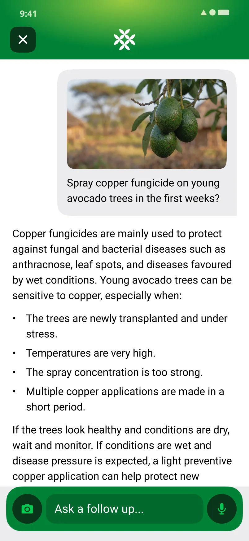 A FarmerChat advice card on growing avocados