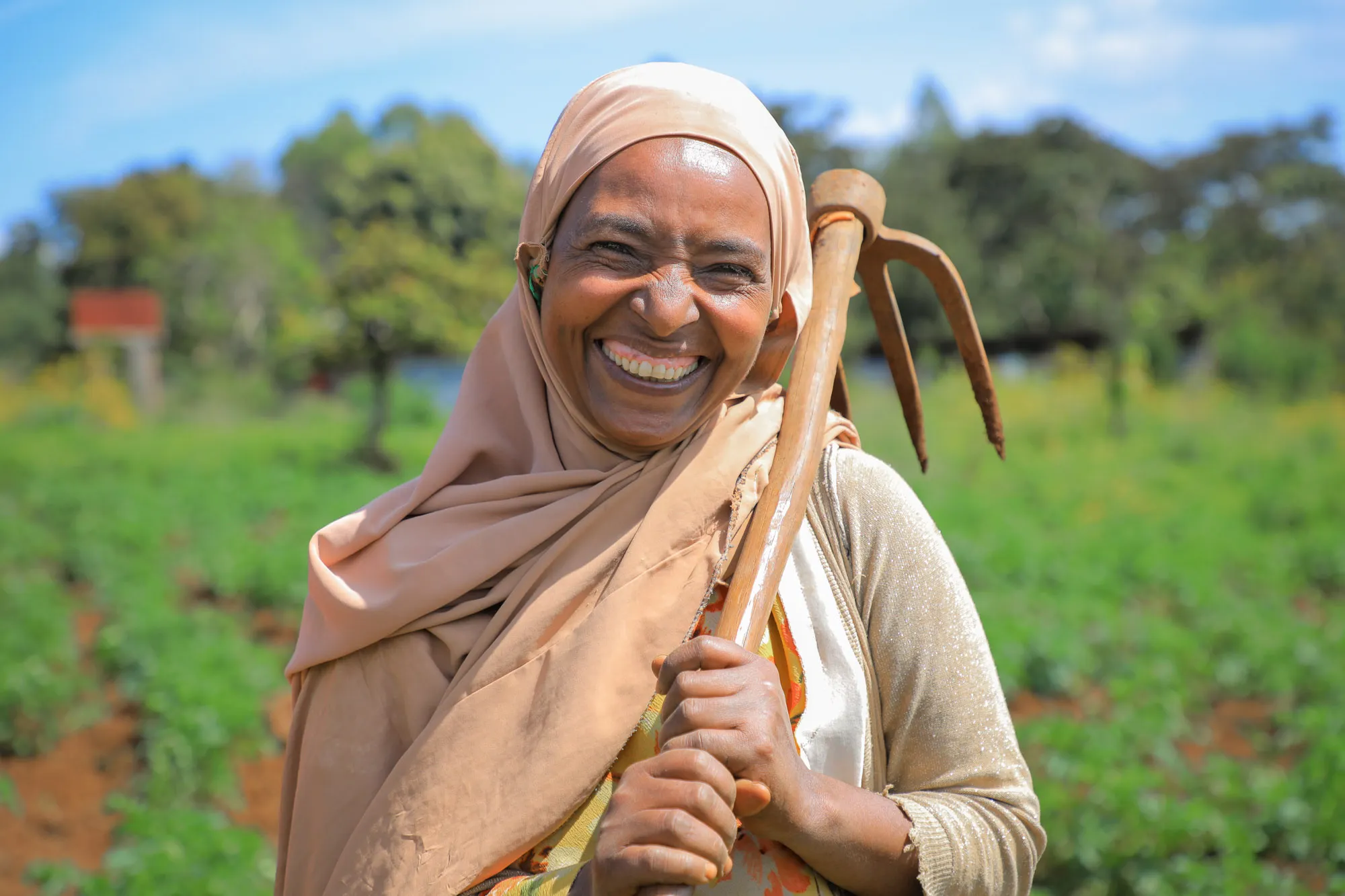 How Tech Solutions are Minimizing Disruptions to Agriculture Extension