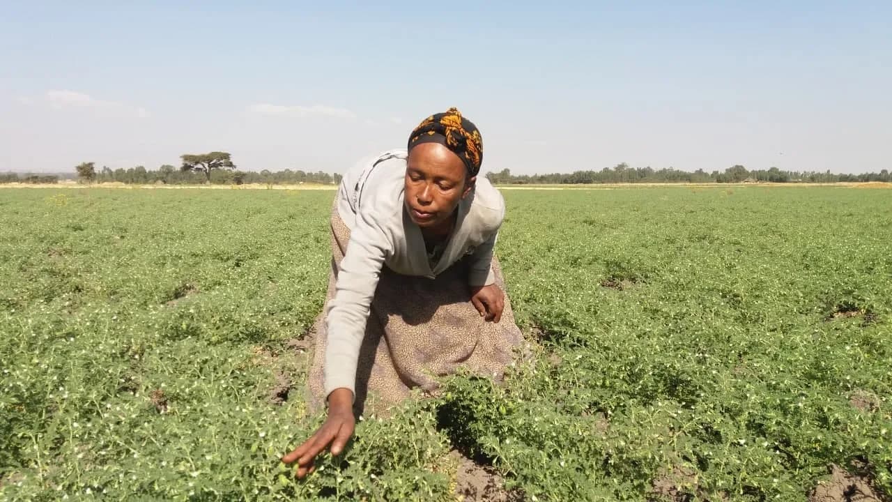 Using gender analysis to ensure the inclusion of women in agricultural extension services