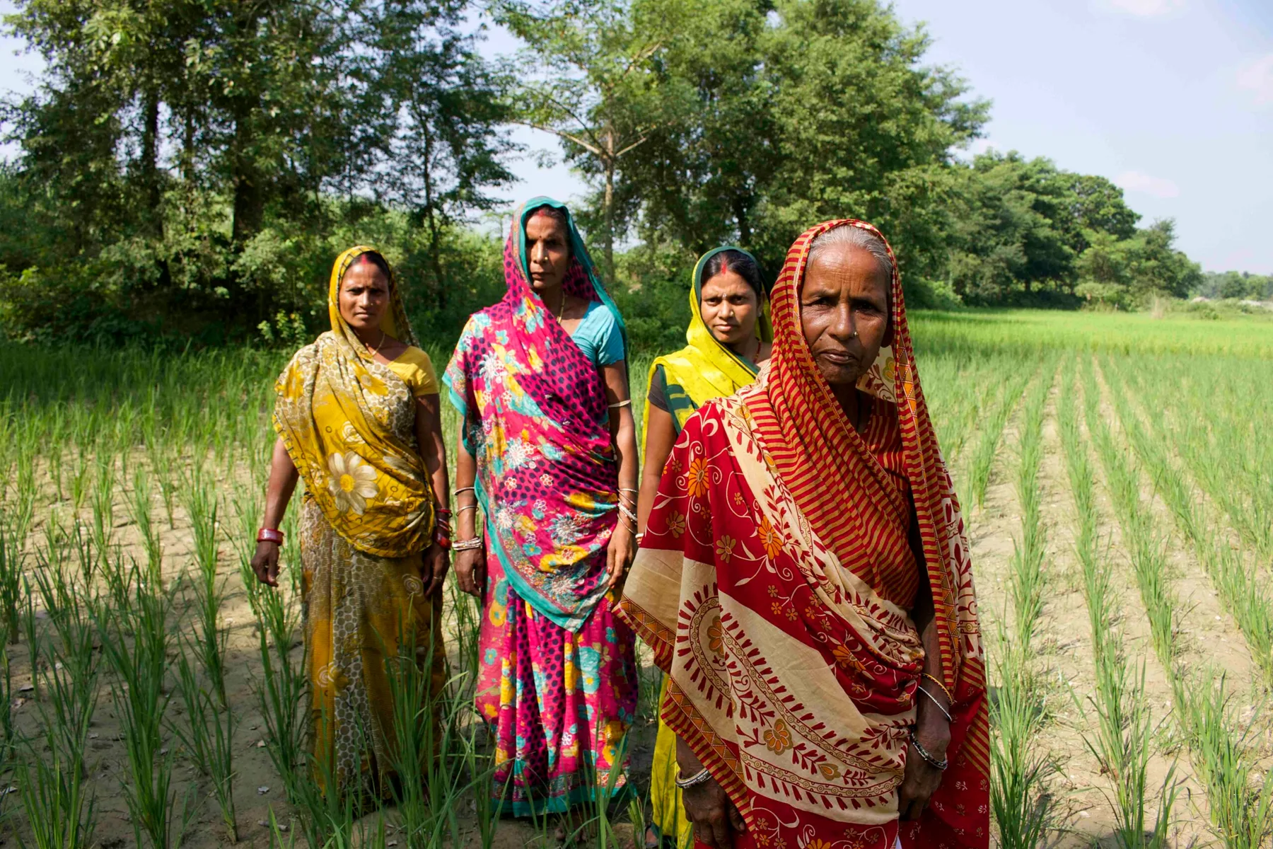 Madhubanis farmers are learning from videos and each other