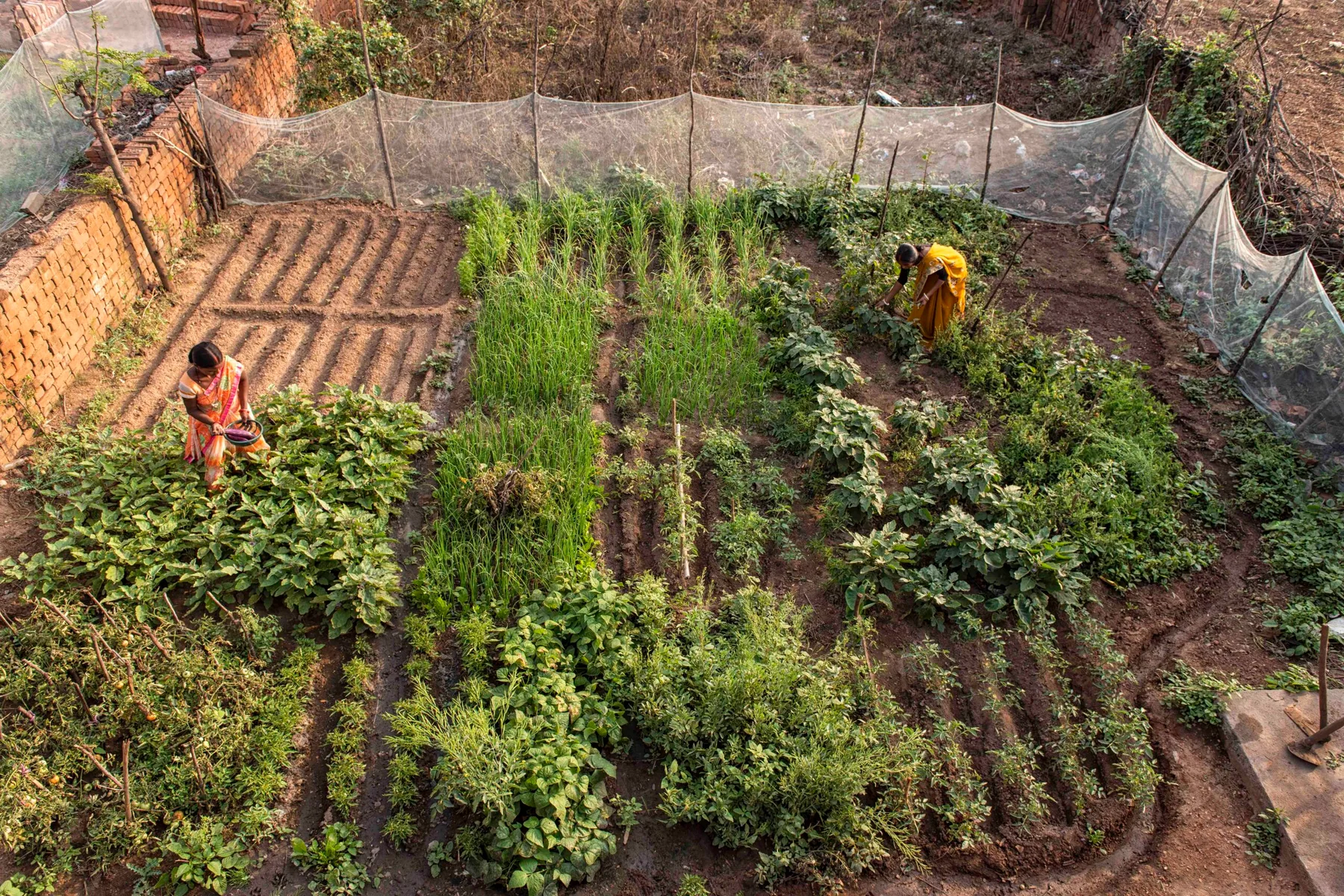 When women have agency over their own data: Kisan Diary Enterprise (KDE) in action